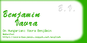 benjamin vavra business card